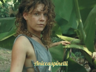 Aniccaspinelli