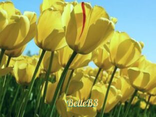 BelleB3