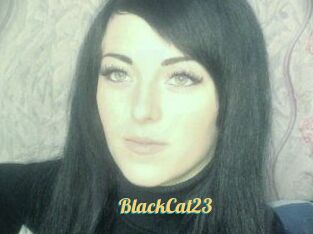 BlackCat23