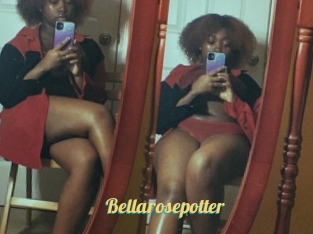 Bellarosepotter