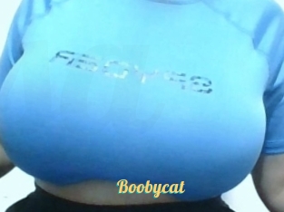 Boobycat