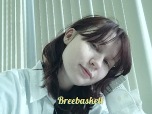 Breebaskett