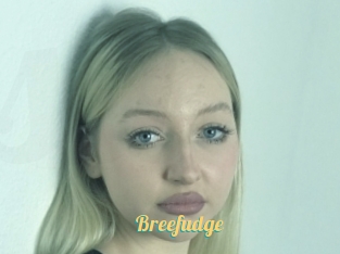 Breefudge