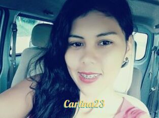 Carlina23