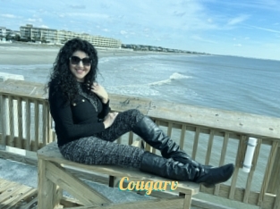 Cougarv