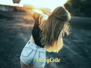 DaisyColle