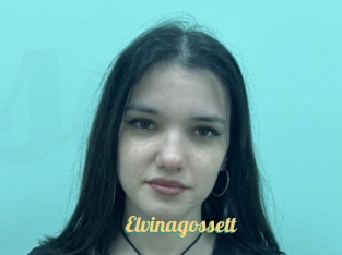 Elvinagossett