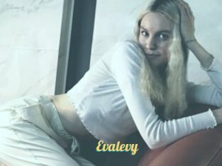 Evalevy