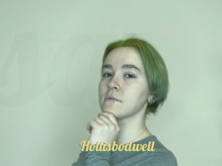 Hollisbodwell