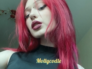 Mollycodle