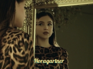 Noragartner