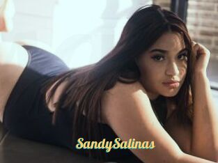 SandySalinas