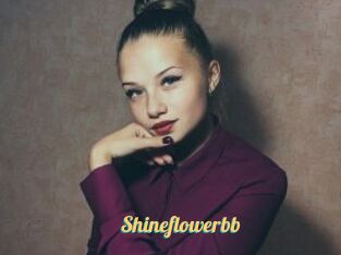 Shineflowerbb