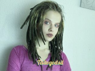 Taitegodsil