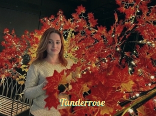 Tanderrose