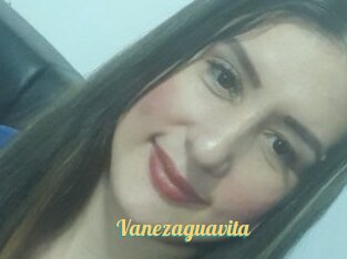 Vanezaguavita