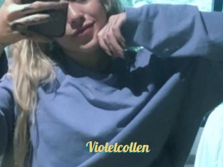 Violetcollen