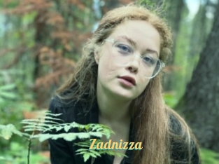 Zadnizza